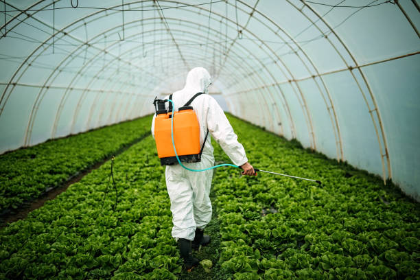 Best Mosquito Control Services  in Ives Estates, FL