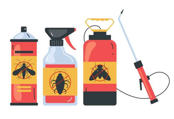 Best Termite Control Services  in Ives Estates, FL