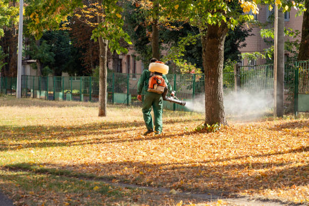 Best Pest Control Near Me  in Ives Estates, FL